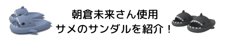 【朝倉未来選手】サメ サンダル